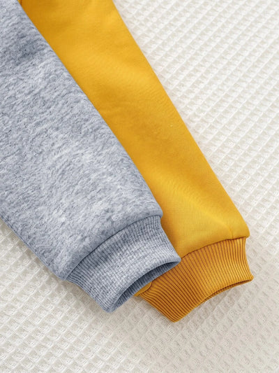 Kit com 2 Moletons para Bebê Bichinhos · Leão amarelo e urso cinza 