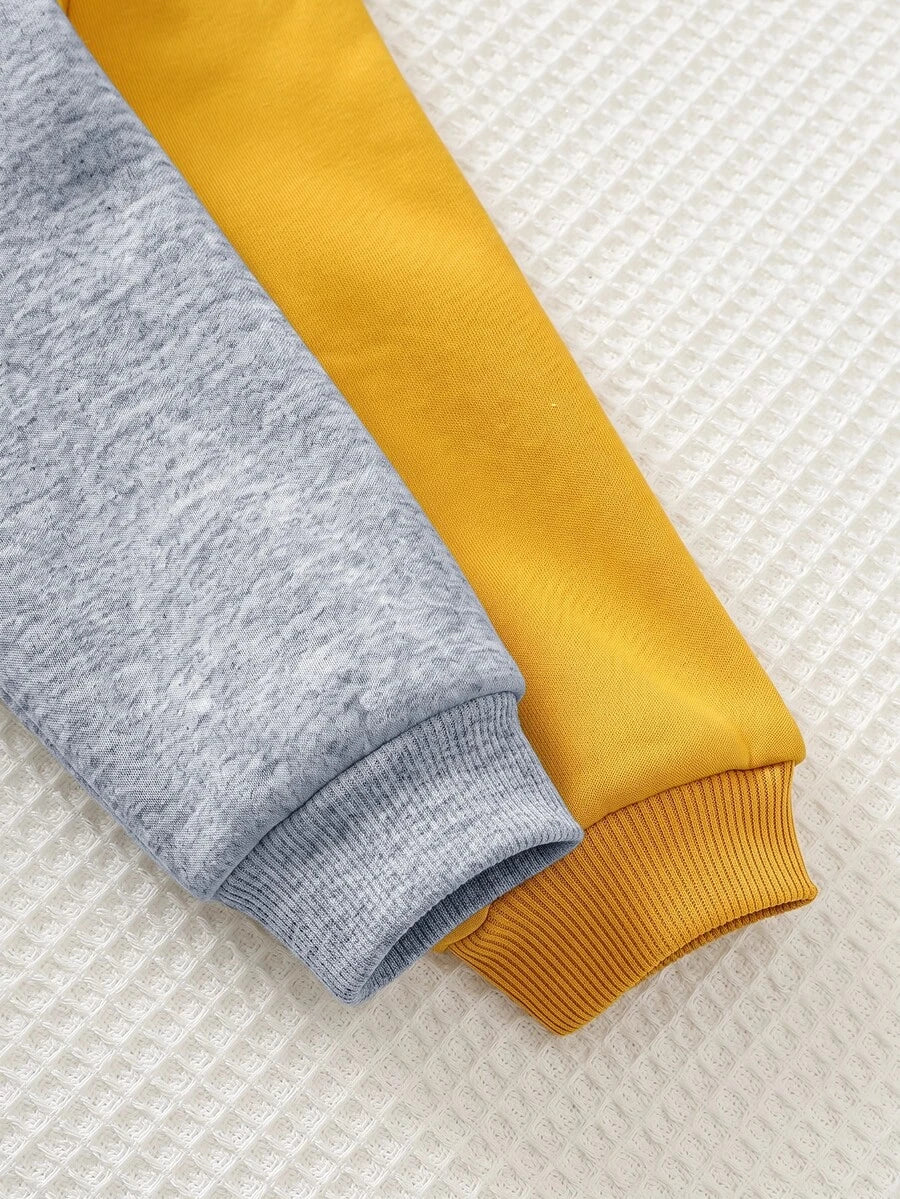Kit com 2 Moletons para Bebê Bichinhos · Leão amarelo e urso cinza 